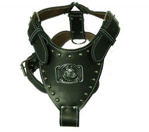 Pettorina GLADIATORE BLACK-0