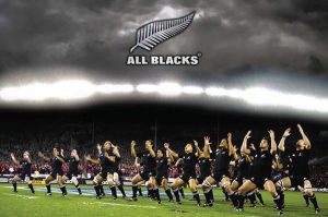 Collare SERIE ALL BLACK -858