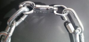 COLLARE STEEL BULL-818