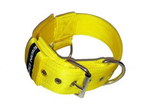 Collare 405 giallo-0