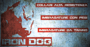 Collari IRONDOG Nylon