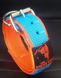 Collare 2016 Orange/White-0