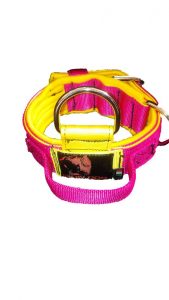 Collare 404 rosa / giallo-0