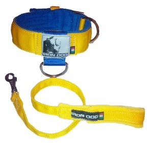 Completo collare 202 con guinzaglio giallo/blu-0