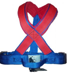 Pettorina da passeggio - TREK BLU/ROSSA-0