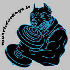 www.musclefordogs.it